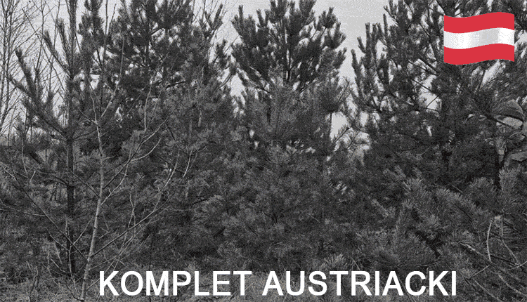 Austrian Set - an offer, that will amaze you – visit and see!